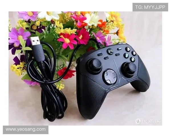 凯发国际登录入口多平台支持，轻松实现手机电脑多设备无缝切换畅玩游戏