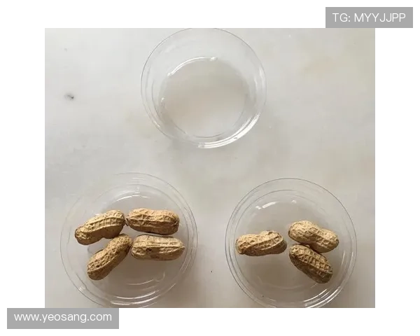 凯发数字站在游戏行业中的应用案例与成功经验分享