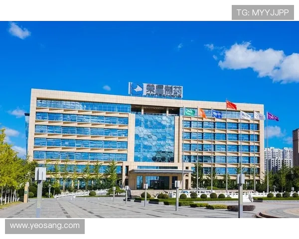 凯发注册网站平台优势分析选择凯发注册网站的五大理由与用户体验提升