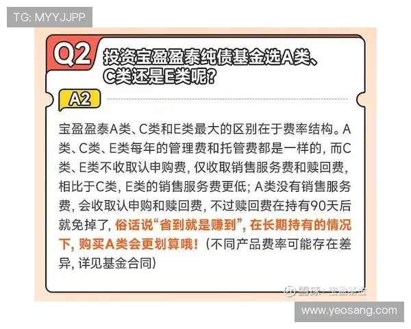 宝盈集团官网：宝盈基金官网上的客户服务与投资者权益保障