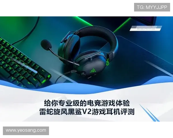 凯发集团网址导航，帮助玩家快速找到官方平台实现便捷游戏体验