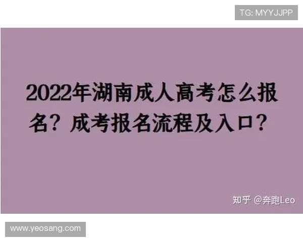 凯发体育官网平台登录入口官方最新入口地址及登录流程详解 凯发体育官网平台登录入口官方最新入口地址及登录流程详解